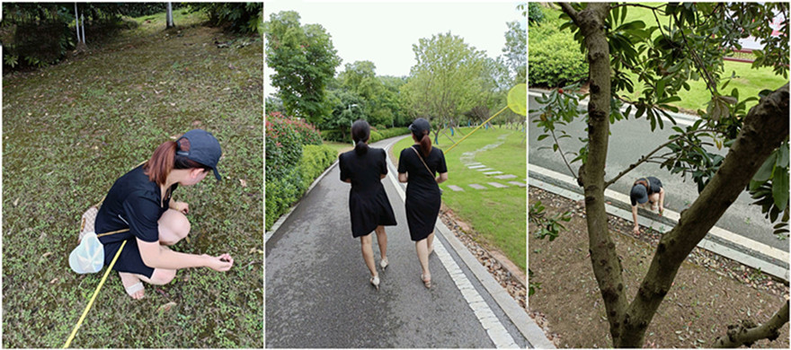 剧情《母子乱伦》小伙下药迷翻妈妈 懂事以后第一次完完整整看妈妈的裸体 想不到妈妈下面毛毛那么少[2V 977 MB] [BT]