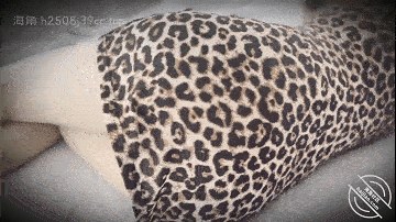 国产自拍乱伦大神《姐姐的奶味》8月最新，带孕妇姐姐产检休闲娱乐后又忍不住挑逗她打了一炮内射[1V811M][BT]