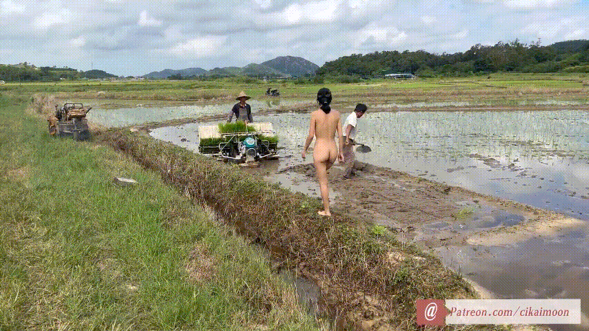 国产自拍天花板露出狂人御姐《cikaimoon》合集 人前全裸 协闺蜜各种大胆露出无视路人《73V+38G-百度》