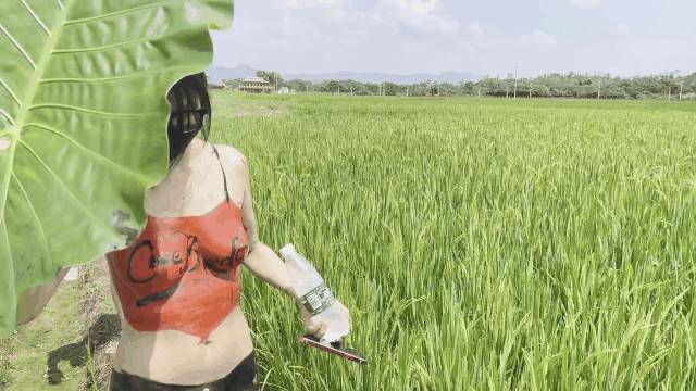 剧情天花板露出狂人御姐cikaimoon付费现代皇帝新装大白天赤裸裸走路路人表情亮了2v[2V 7103 MB] [BT]