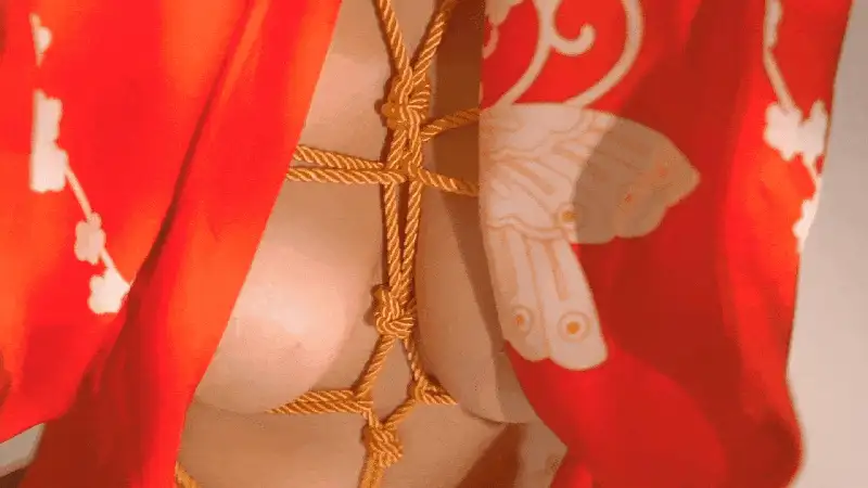 星澜_和服绳缚 [50P+1V] [50P+1V-600m]