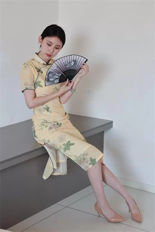 绮梦摄影-yaya-旗袍肉丝高跟裸足诱惑[510P/590M 百度网盘] [510p-590m]