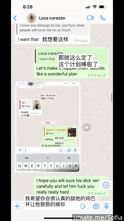 国产年度最佳NTR 国男西女 哥伦比亚女友索菲亚  原版+4K