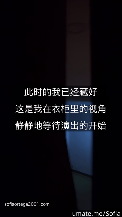 国产年度最佳NTR 国男西女 哥伦比亚女友索菲亚  原版+4K