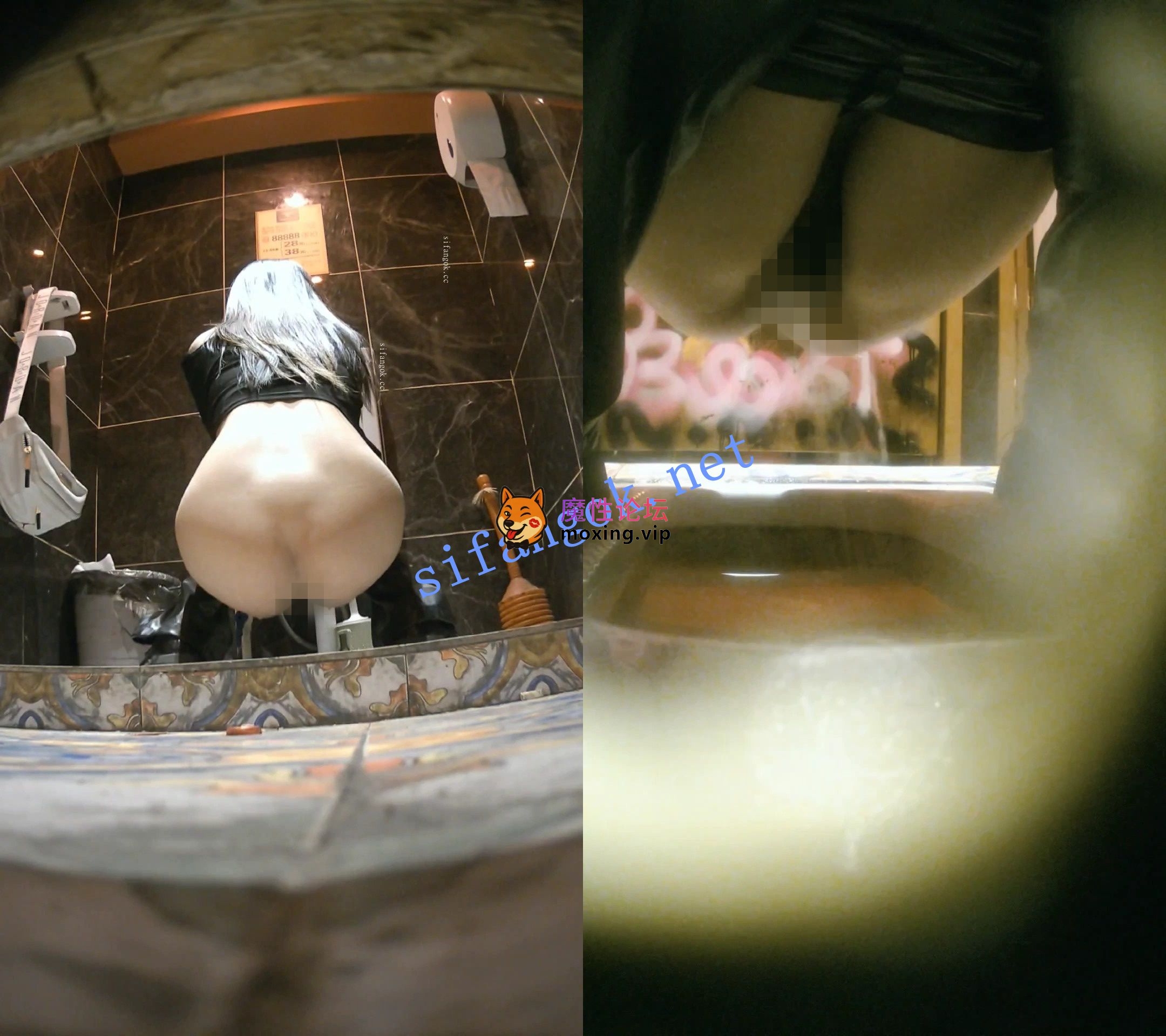 偷拍✅全网首发《酒吧全景厕拍》各种黑丝高跟 美女如云 11《21V+6.1G-百度》