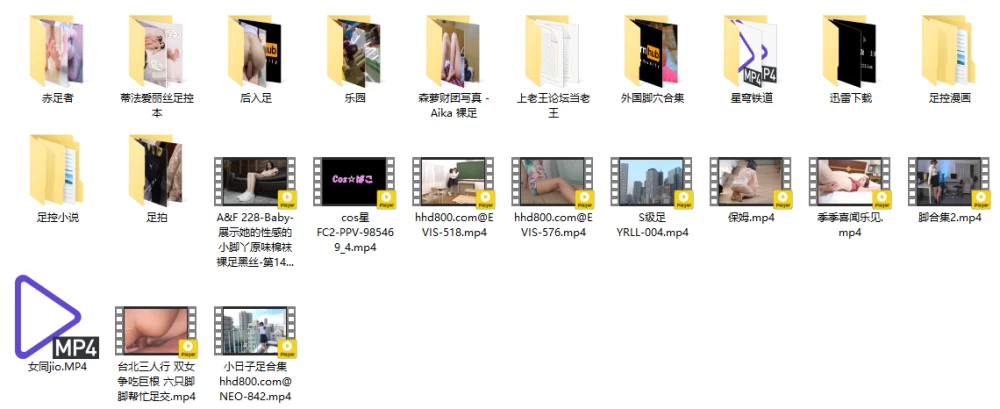 足控终极合集一站式整合版！！！ [NPNVN本-70GB]