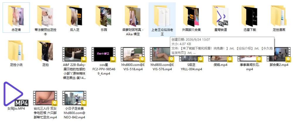 足控终极合集一站式整合版！！！ [NPNVN本-70GB]
